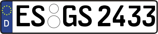 ES-GS2433