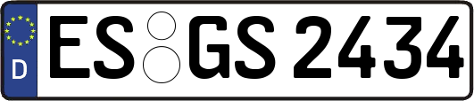 ES-GS2434