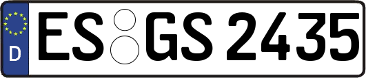 ES-GS2435