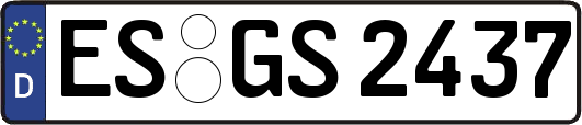 ES-GS2437