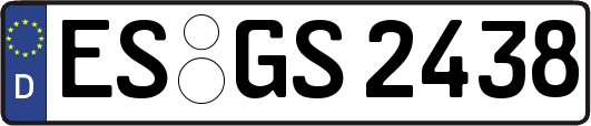 ES-GS2438