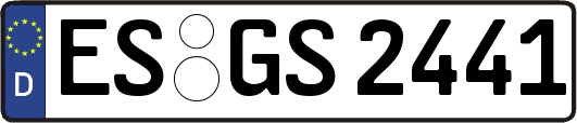ES-GS2441