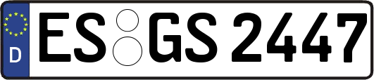 ES-GS2447