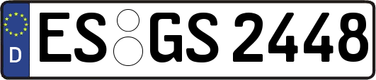 ES-GS2448