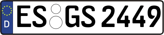 ES-GS2449