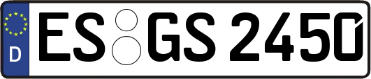 ES-GS2450