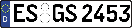 ES-GS2453