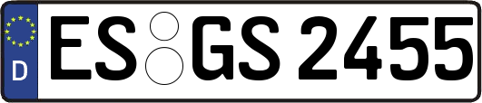 ES-GS2455
