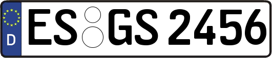 ES-GS2456