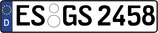 ES-GS2458