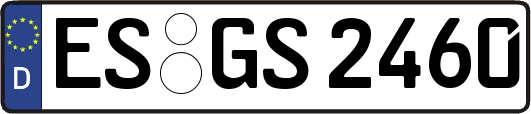 ES-GS2460