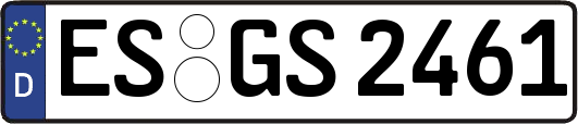 ES-GS2461