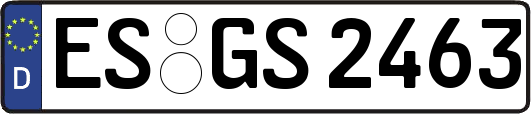 ES-GS2463