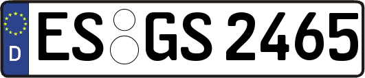 ES-GS2465