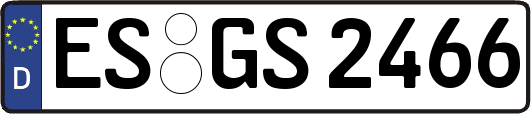 ES-GS2466
