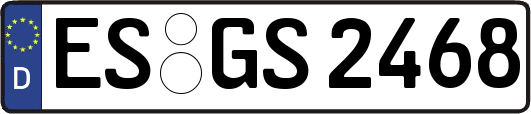 ES-GS2468