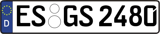ES-GS2480