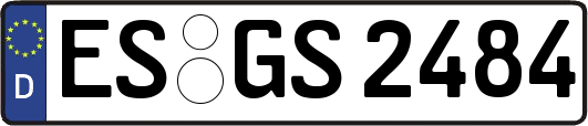 ES-GS2484