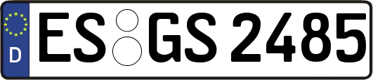 ES-GS2485