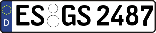 ES-GS2487
