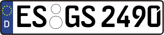 ES-GS2490