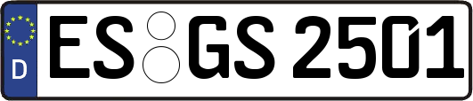 ES-GS2501