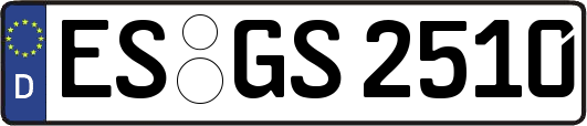 ES-GS2510
