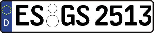 ES-GS2513