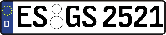ES-GS2521