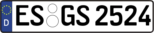 ES-GS2524