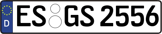 ES-GS2556