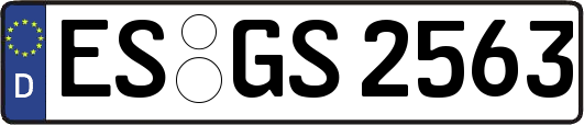 ES-GS2563