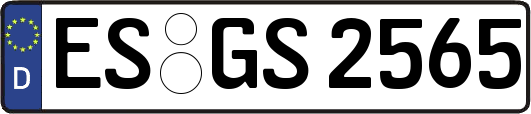 ES-GS2565