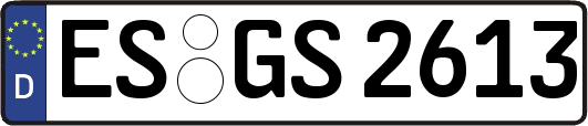 ES-GS2613