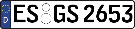 ES-GS2653