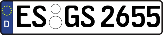 ES-GS2655
