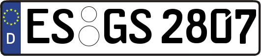 ES-GS2807