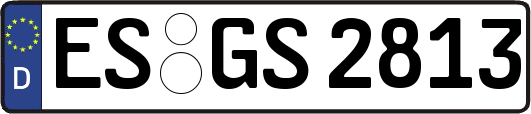 ES-GS2813