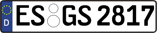ES-GS2817