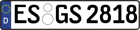 ES-GS2818