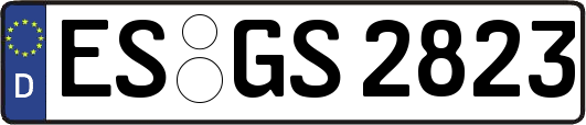 ES-GS2823