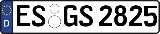 ES-GS2825