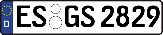 ES-GS2829