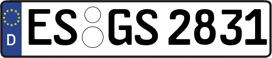 ES-GS2831