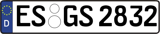 ES-GS2832