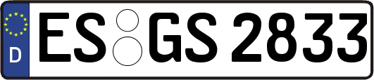 ES-GS2833