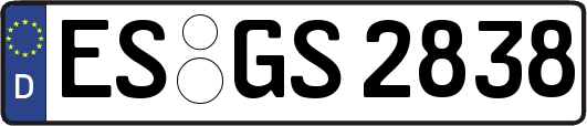 ES-GS2838