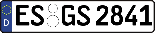 ES-GS2841
