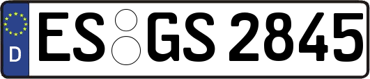 ES-GS2845