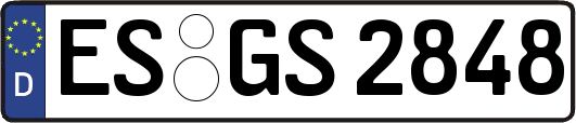 ES-GS2848